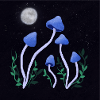 Magic Mushrooms