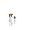 Treeing Walker Coonhound