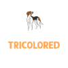 Treeing Walker Coonhound