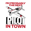 Airplane Pilot Funny