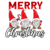 Merry Christmas Gnome