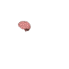 You dropped something! dash figure. Brain Gifts