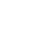 Bernedoodle Love