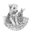 Dog and rabbit