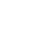 Dickhäuter Rüsseltier Elefant