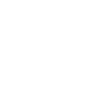 Dickhäuter Rüsseltier Elefant
