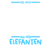 Dickhäuter Rüsseltier Elefant