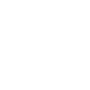 Dickhäuter Rüsseltier Elefant