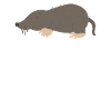 Mole on Avogadros Day