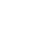 Dickhäuter Rüsseltier Elefant
