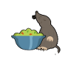 Sacred Quokka Mole