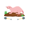 Rat-taupe nu pour le président