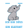 Dickhäuter Rüsseltier Elefant