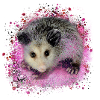 Opossum,mouse,rodent,graffiti