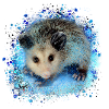 Opossum,mouse,rodent,graffiti
