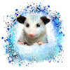 Opossum,mouse,rodent,graffiti