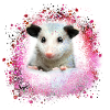 Opossum,mouse,rodent,graffiti