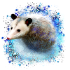oopossum,maus,nagetier,graffiti