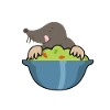 Bowl of guaca mole