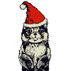 Cat with Christmas hat