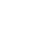 Corgi