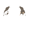 Life is better with moles