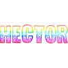 hector rs regenbogen