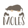 I like moles