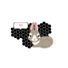 Hare