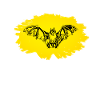 Bat