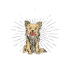 Chihuahua Geschenk Hunde