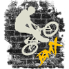 Vélo BMX