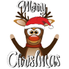 NOËL RENNES JOYEUX NOËL