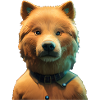 Eurasia Dog - Eurasier