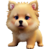 Eurasier Dog - Eurasier