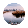 Nature in a circle