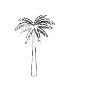 Palm LA