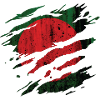 Bangladesh - drapeau national, rayures, fissures