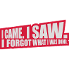 I came saw forget