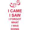 I came saw forget