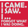 I came saw forget