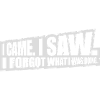 I came saw forget