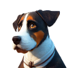 Entlebucher Bouvier