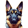 German Shepherd Dog - German Shepherd