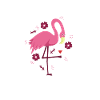 I don't give a flock