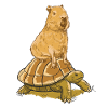 Capybara