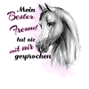Pferd der beste Freund