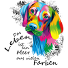 Farbenmeer Hund