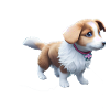 Chien de berger australien