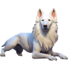 White Shepherd
